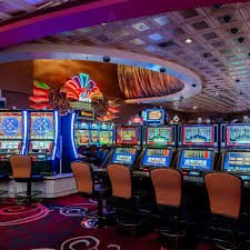 5585 bet